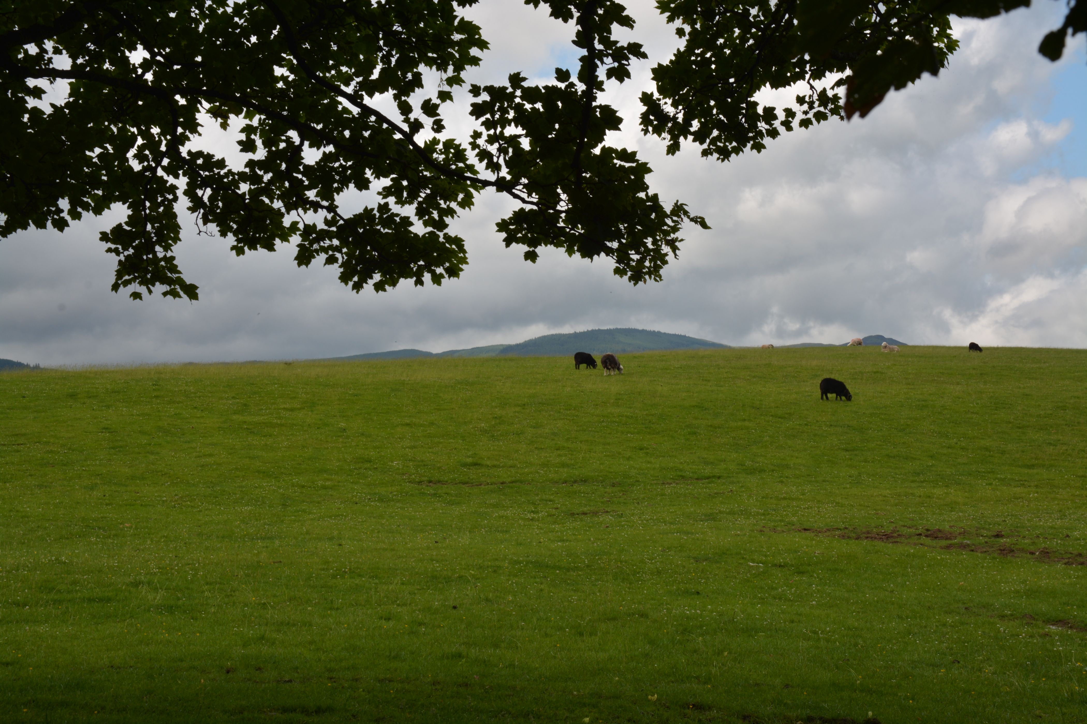 DSC 5513